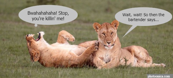 laughing lions